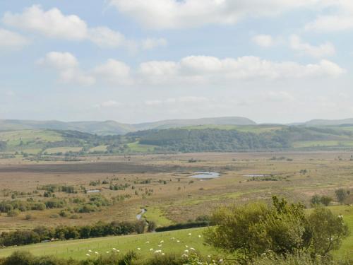 Maes Rheidol