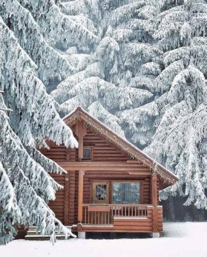 Guest House Qhq