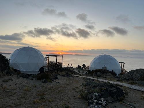 Kunza Kamanchacos in Punta De Choros