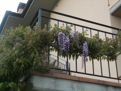 B&B La Casa Di Zefiro - image 11