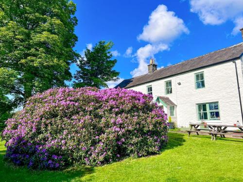 Mark Close Farmhouse - Alston