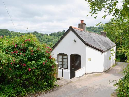 River Wye View Cottage - Symonds Yat