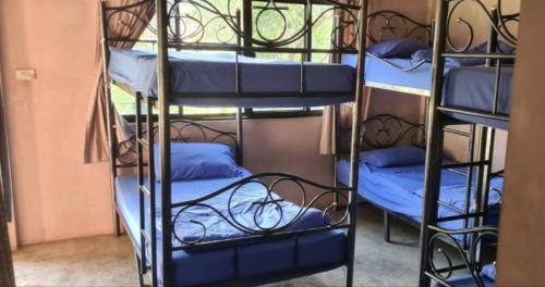Pai River Jam Hostel & Campground – Pai, ND