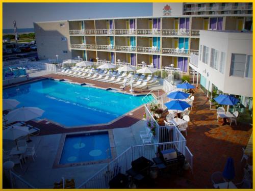 The Jolly Roger Motel - 전망