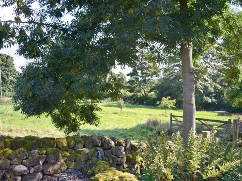 The Bothy