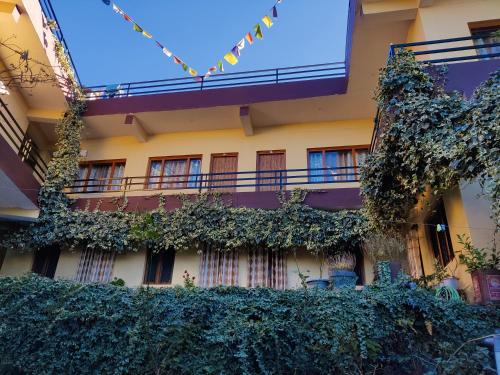 WildChild's Norling Homestay, Kasar Devi, Almora