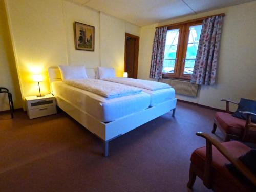 Edelweiss Lodge - image 12