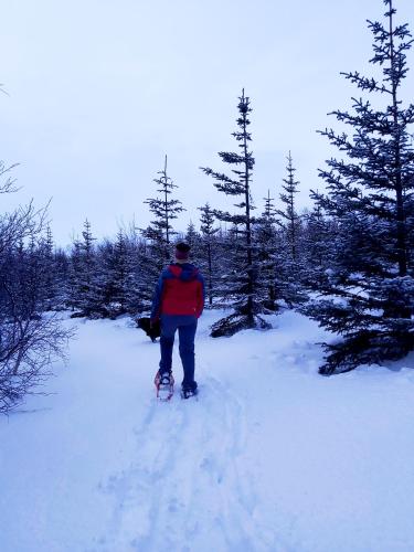 Bakkakot 2 - Cozy Cabins in the Woods Bakkakot 2 - Cozy Cabins in the Woods