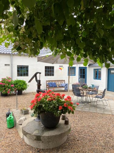 Vista exterior, Porshus Ferielejlighed in Skals