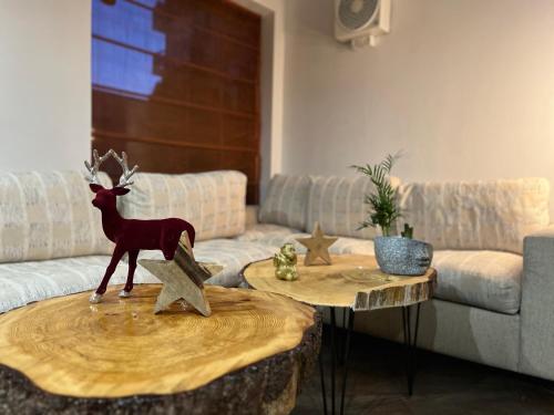 North Star - image 11