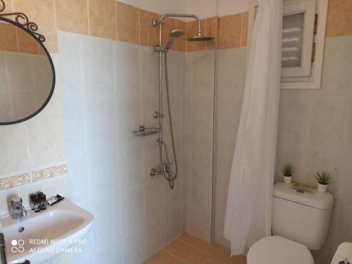  Anastasios Olive Garden Apartments in Petalidi