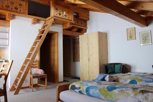 Chalet Spinne - image 11
