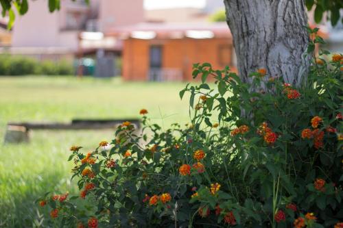 Agriturismo Il Gelsomino Ritrovato - image 7