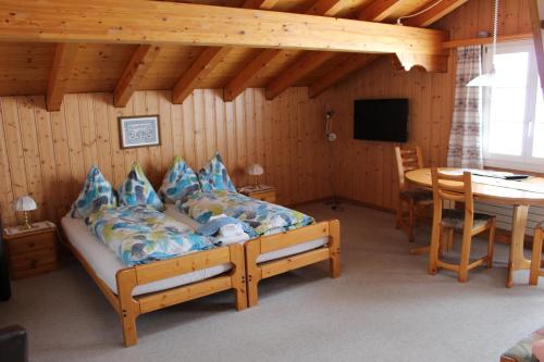 Chalet Spinne - image 8