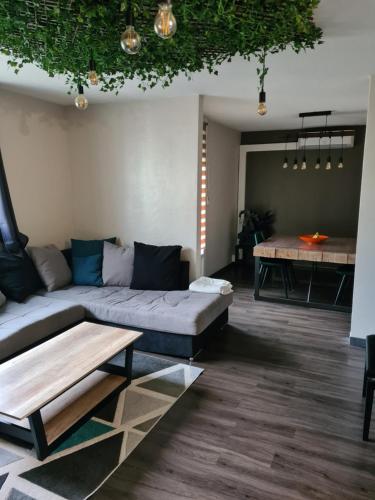 Grand appartement moderne et calme