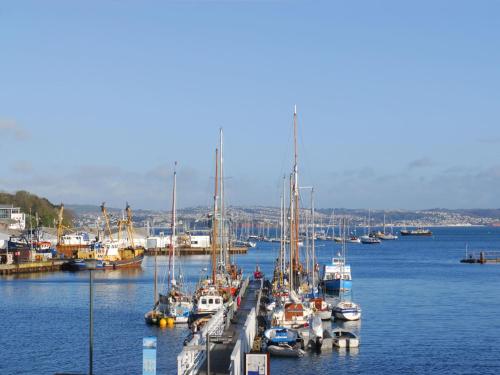 56 Moorings Reach - Apartment - Brixham