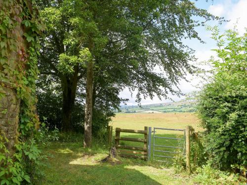 Steep Holm