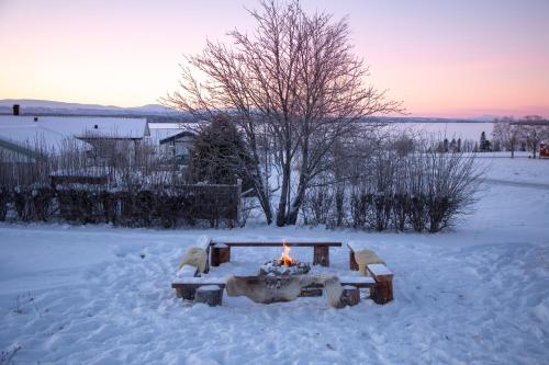 Cozy mountain view apartment