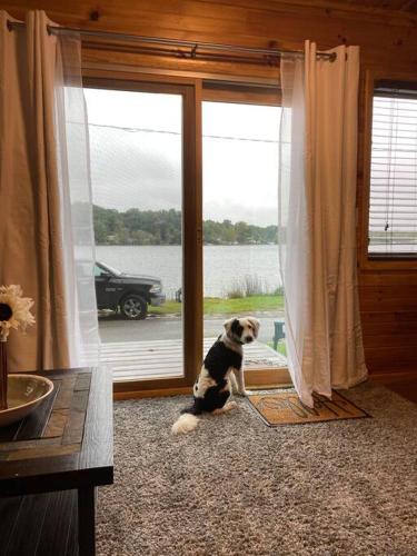 Laurabelle Lake House - Lakefront & Dog friendly