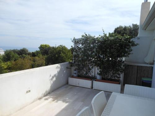 Villa Giulia - Apartment in Villa with sea view