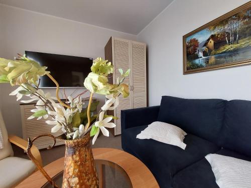 Apartamenty LeVilla