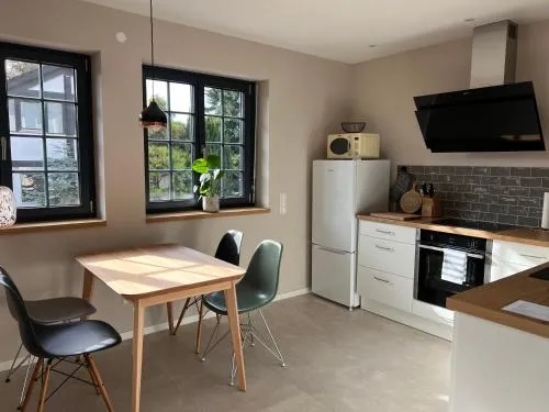 Neubau im Loft-Stil mit großer Terrasse in Lörrach, Deutschland