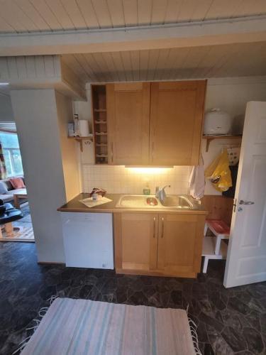 Skogan in ซานเนสโยน