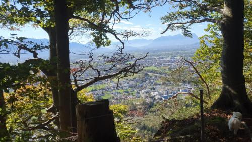 F E R I E N W O H N U N G "Am Halbenstein" mit Garten
