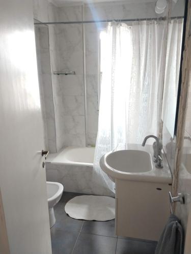 Cómodo y luminoso, 1 dormitorio, cocina, balcón, Buenos Aires (fotografie 7)