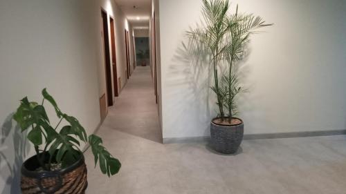 CASA CALMA HOTEL - image 5