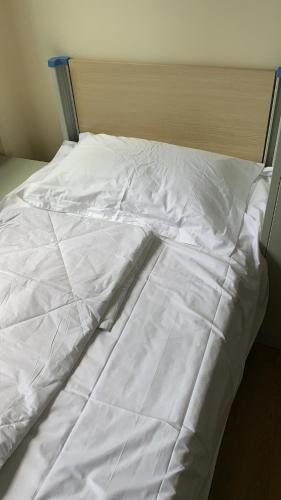 Garden Hostel – Auckland, NY