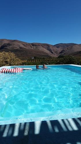 Vrisch Gewagt Boutique Self-Catering Olive Farm in Prince Albert