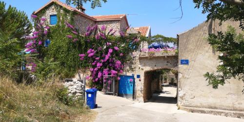 Charming dalmatian apartment with panoramic view