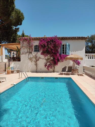 Domaine l'Oiseau Bleu - Location, gîte - Sainte-Maxime