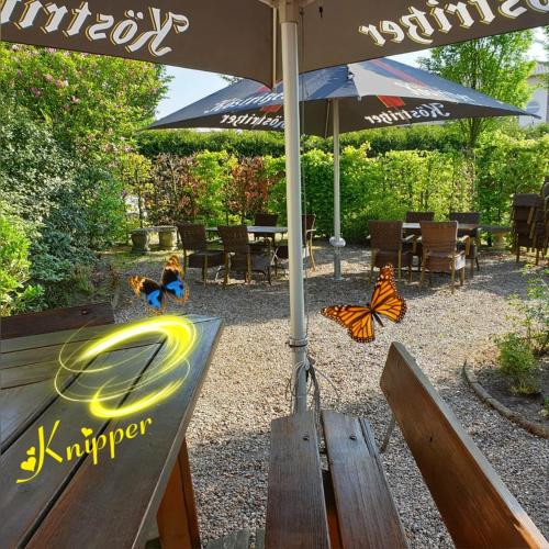 . Hotel Knipper