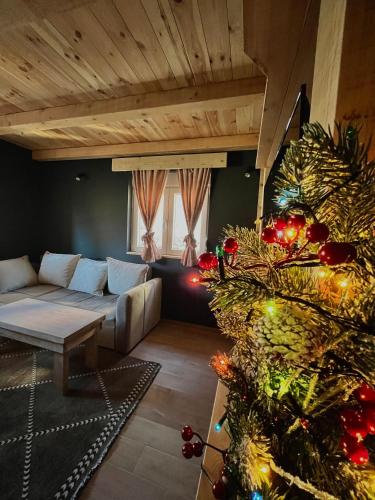 Apartman Kruna in Kolasin