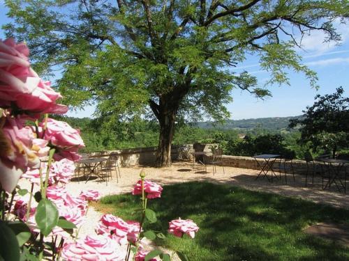 B&B Boussac - MAS DEL LUM - Bed and Breakfast Boussac