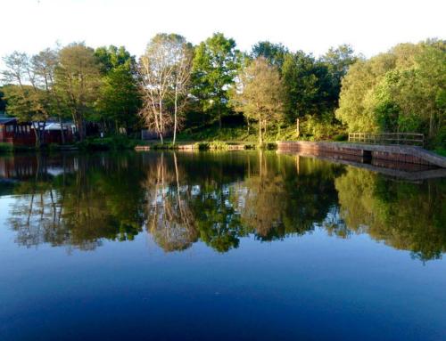 Rustic Fawn Lodge - Devon Holiday