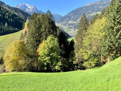  Natur Zeit - Alpine Garden Apartments in Mayrhofen