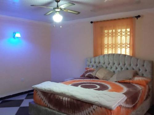 One-Bedroom Apartment image 8