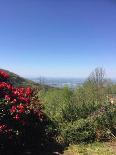 View from the Rock - Apartment - Sasbachwalden