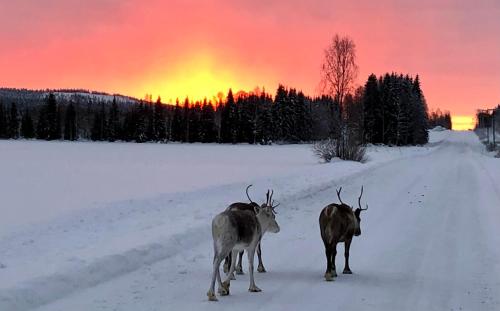 Kätkä Lake Lodge