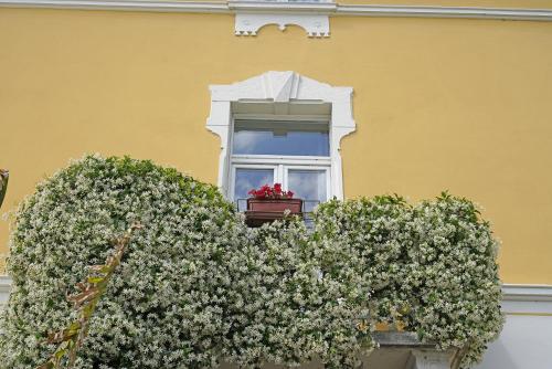 Hotel Ristorante Lepanto - image 9