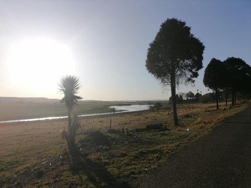 Ümbrus, Reedbuck Lodge in Amsterdam (Mpumalanga)