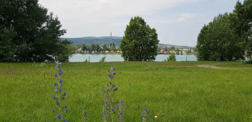 Palatinus Apartman Esztergom