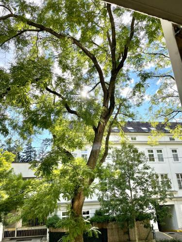  #Family & Friends# Ruhig, grün, gleich in der City in Wien