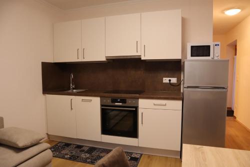 One-Bedroom Apartment image 9