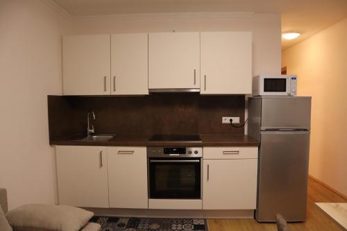 One-Bedroom Apartment image 7