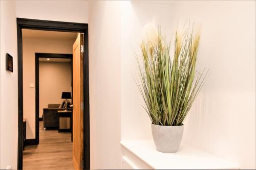 Modern ONEBEROOM FLAT I 2mins walk to BRIGHTON SEAFRONT - image 7