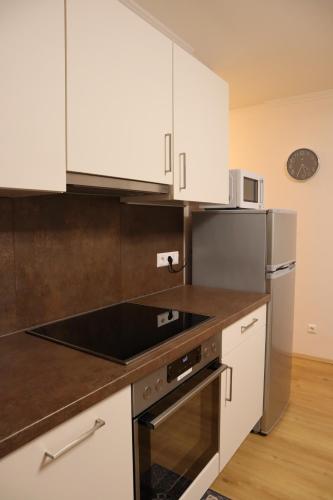One-Bedroom Apartment image 6
